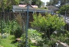 Esk NSWvegetable-gardens-12.jpg; ?>