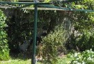 Esk NSWvegetable-gardens-13.jpg; ?>