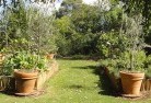 Esk NSWvegetable-gardens-3.jpg; ?>