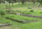 Esk NSWvegetable-gardens-5.jpg; ?>
